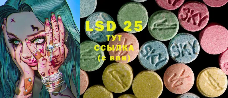 где найти наркотики  Красный Холм  LSD-25 экстази кислота 